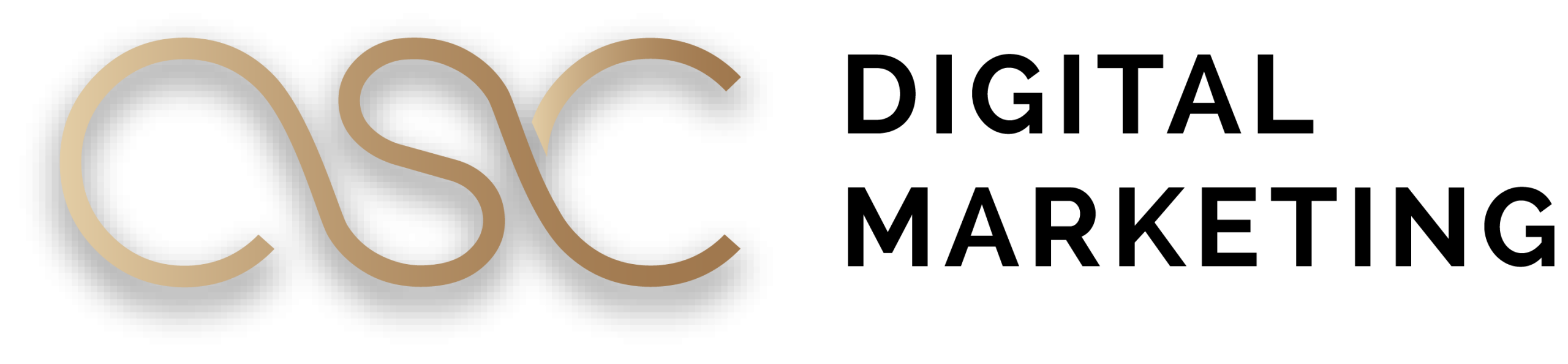 CSC Logo